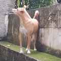 Small profile