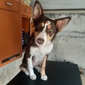 Small profile