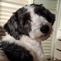 Small profile