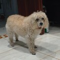Small profile