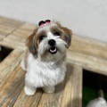 Small profile