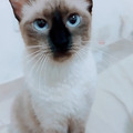 Small profile